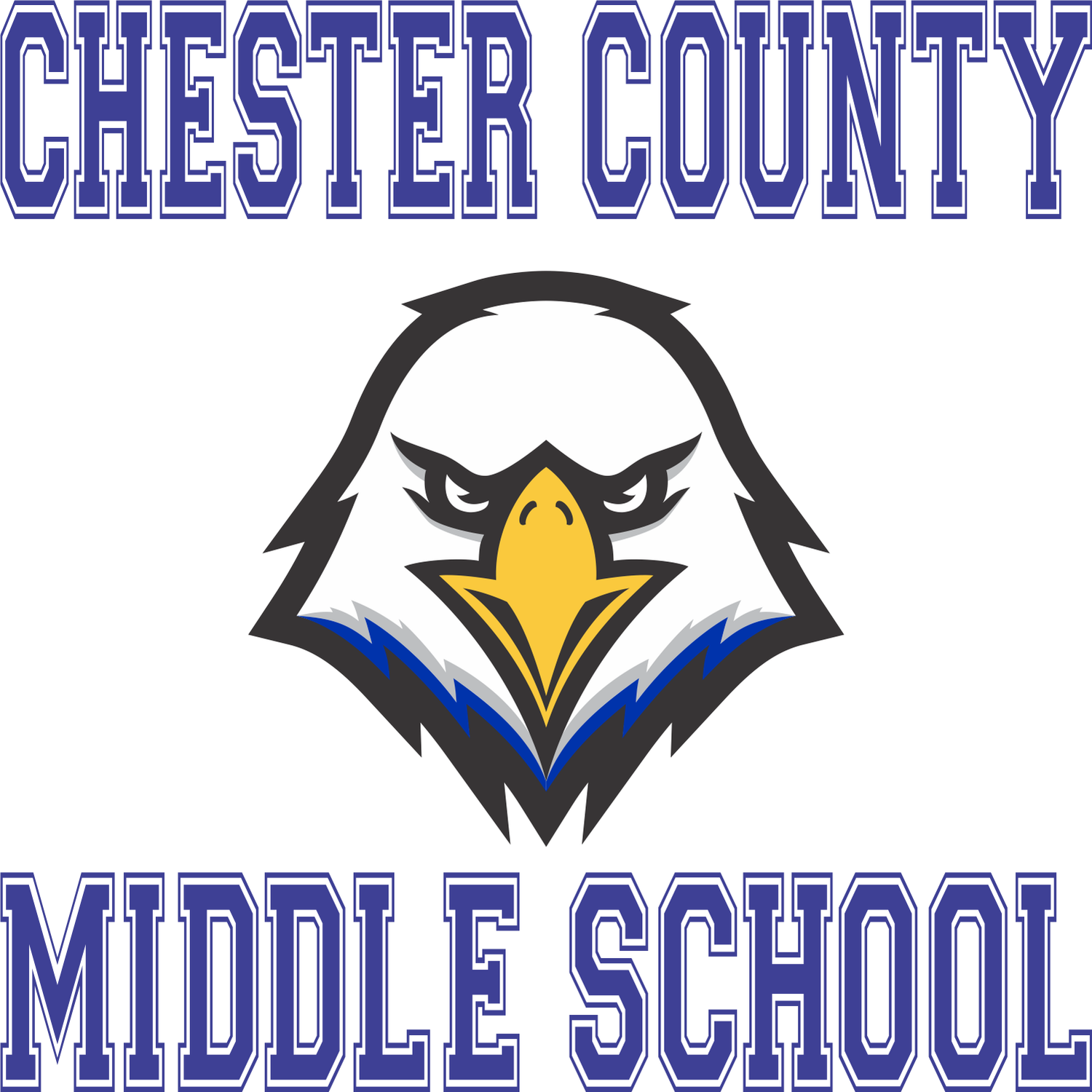 CCMS House Shirts