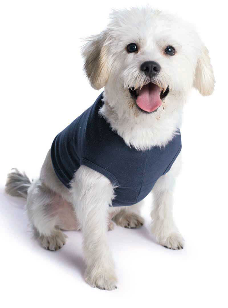 CCFD Doggie Tank