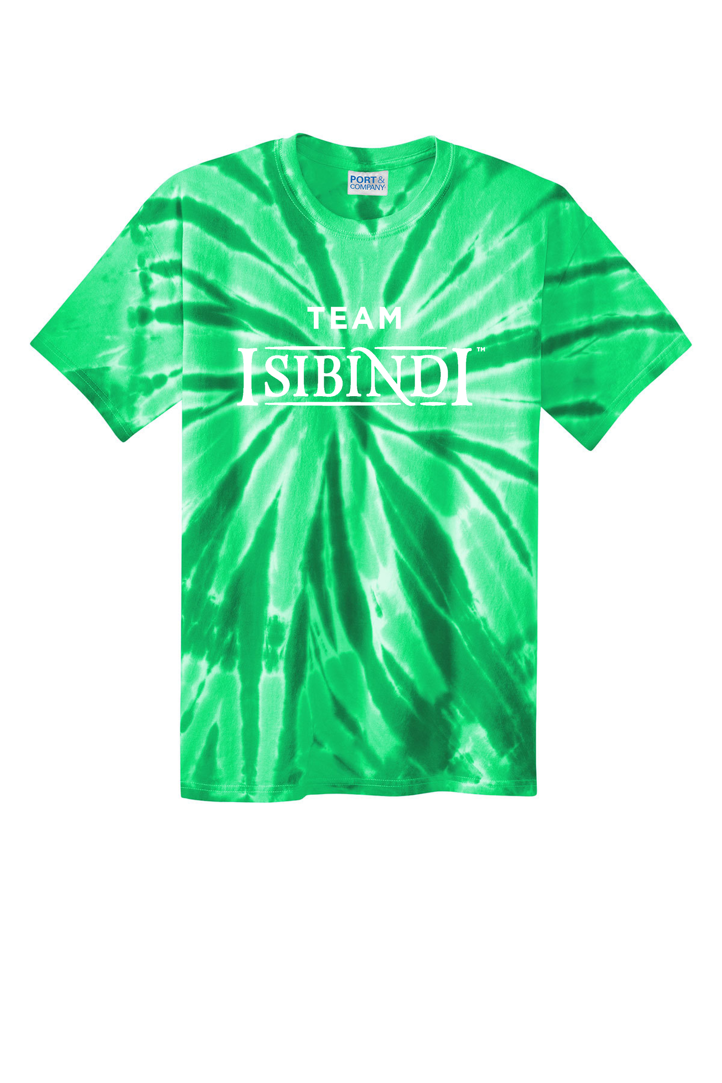 CCMS House Tie dye Tee